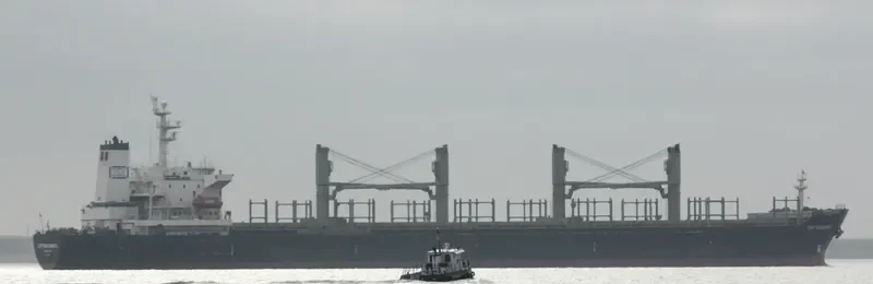 PETRA STAR Bulk Carrier IMO 9101637 photo 2