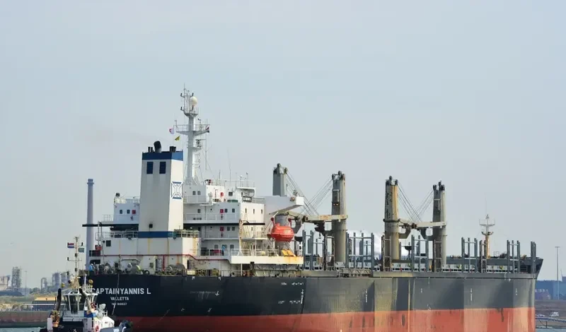PETRA STAR Bulk Carrier IMO 9101637 photo 3