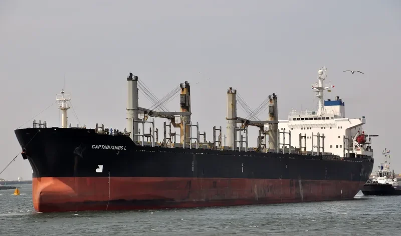 PETRA STAR Bulk Carrier IMO 9101637 photo 7