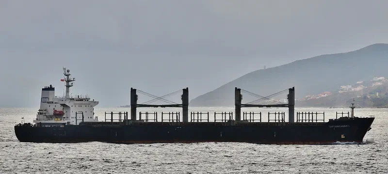 PETRA STAR Bulk Carrier IMO 9101637 photo 10