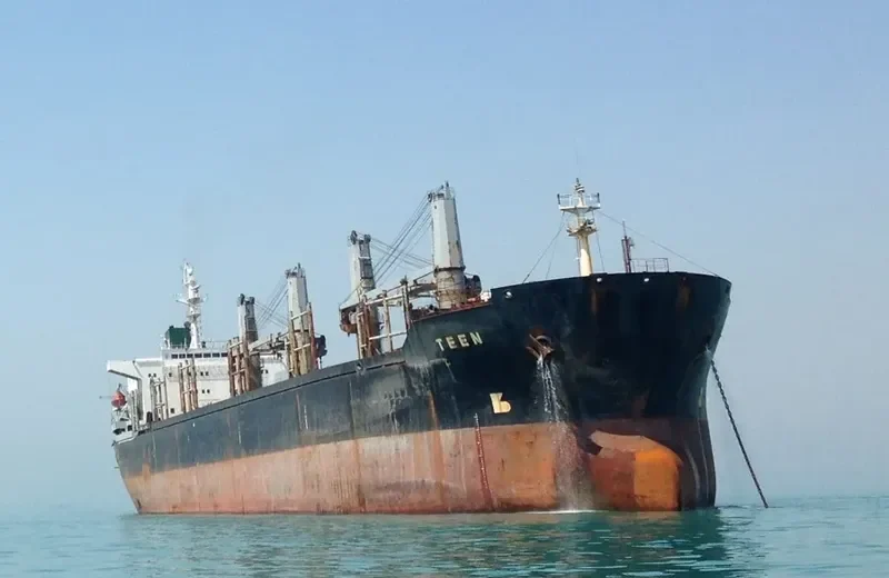 TEEN Bulk Carrier IMO 9101649 photo 2