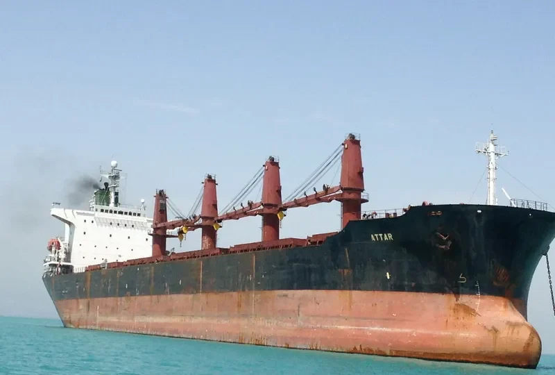TEEN Bulk Carrier IMO 9101649 photo 3