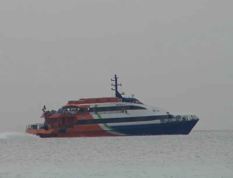 MEXICO V Passenger Ship IMO 9101754 photo 8