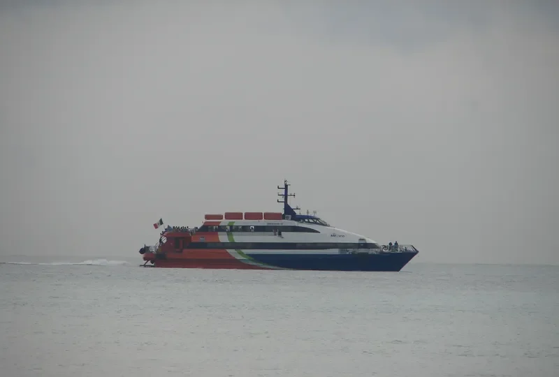 MEXICO V Passenger Ship IMO 9101754 photo 9