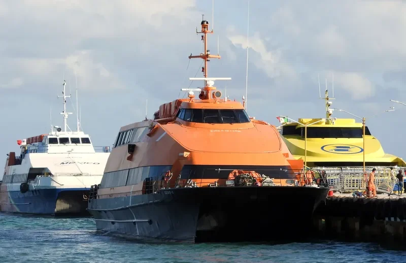 MEXICO IV Passenger Ship IMO 9101766 photo 10