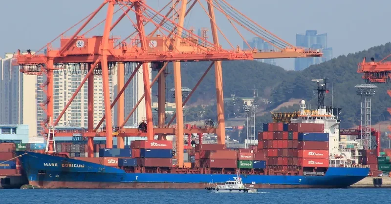 A STAR Container Ship IMO 9101819 photo 6
