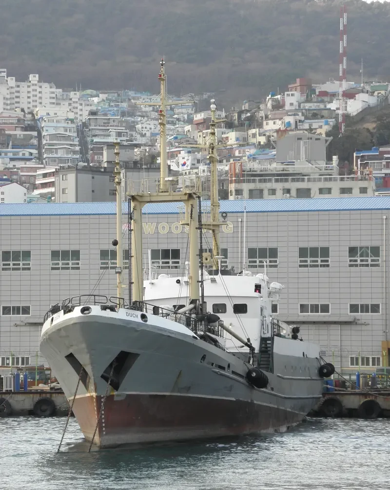 DUCH General Cargo IMO 9101871 photo 3