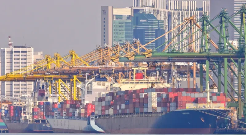 SUNNY OASIS Container Ship IMO 9102150 photo 3