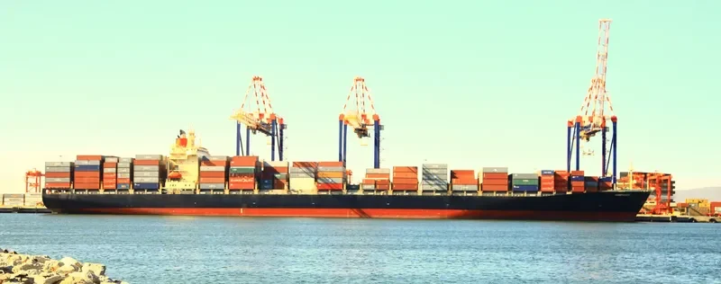 SUNNY OASIS Container Ship IMO 9102150 photo 8