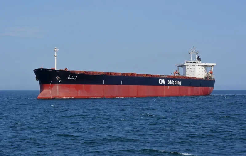 C.MARCH Bulk Carrier IMO 9102227 photo 2