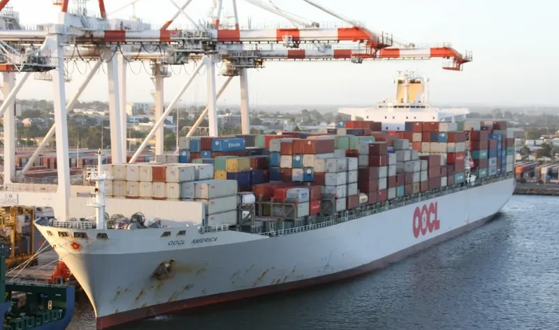 OOCL AMERICA Container Ship IMO 9102291 photo 6