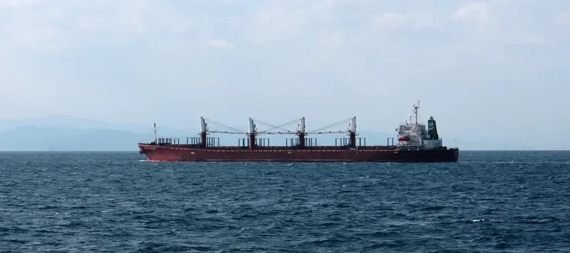 JAHAN SISTERS Bulk Carrier IMO 9102332