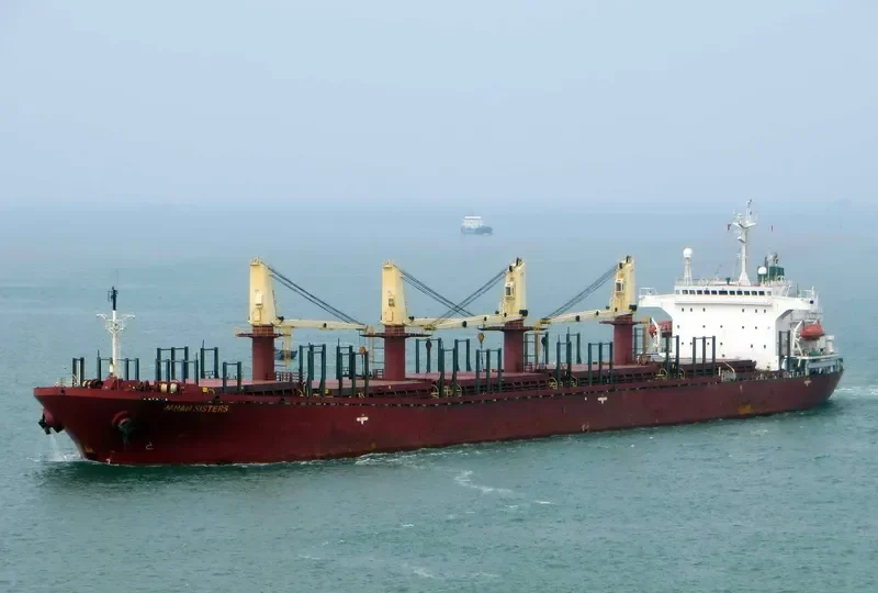 JAHAN SISTERS Bulk Carrier IMO 9102332 photo 3