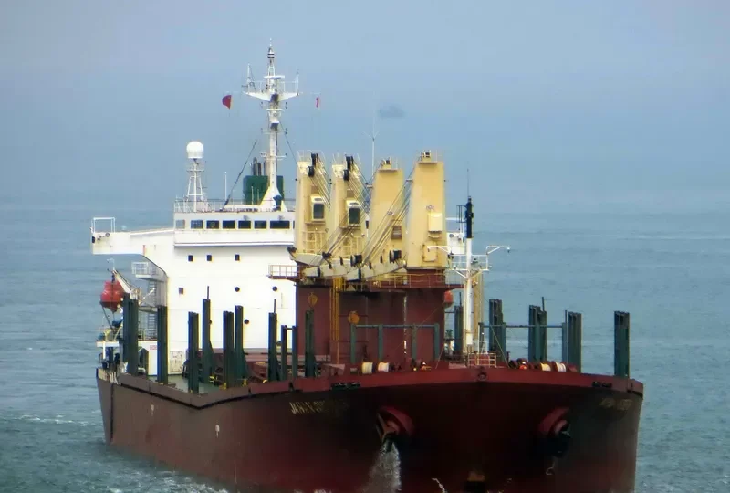 JAHAN SISTERS Bulk Carrier IMO 9102332 photo 5