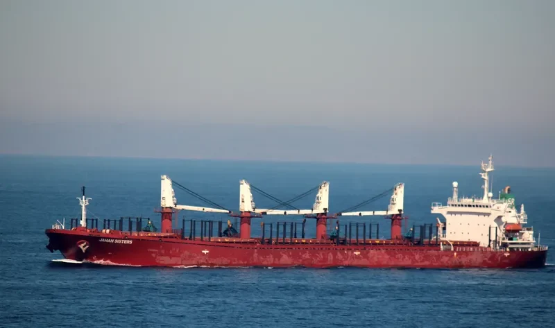 JAHAN SISTERS Bulk Carrier IMO 9102332 photo 6