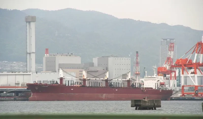 JAHAN SISTERS Bulk Carrier IMO 9102332 photo 8