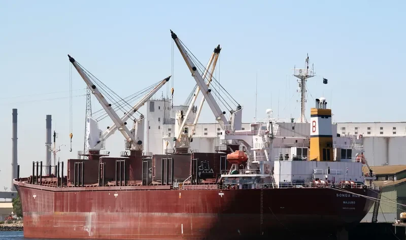 JAHAN SISTERS Bulk Carrier IMO 9102332 photo 9