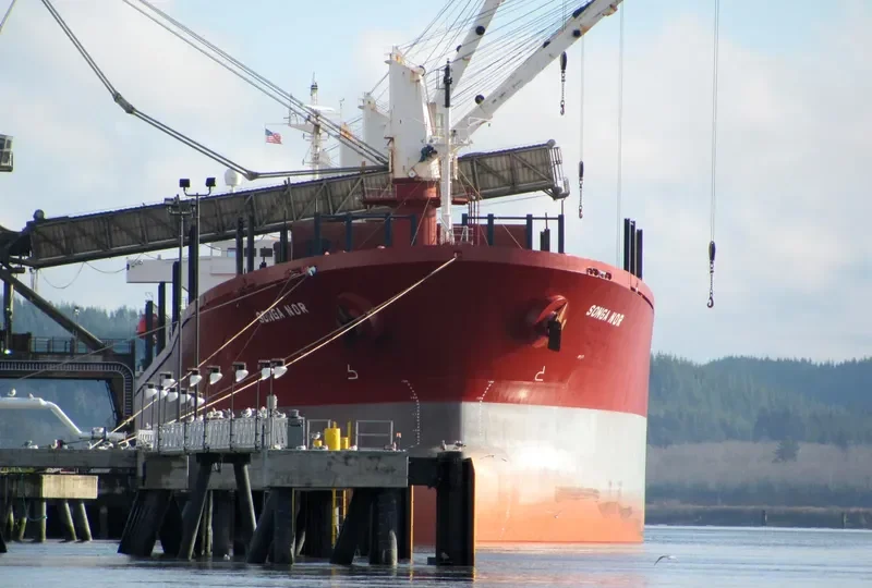 JAHAN SISTERS Bulk Carrier IMO 9102332 photo 10