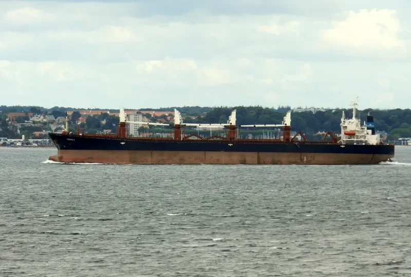 THE JUST Bulk Carrier IMO 9102344 photo 4