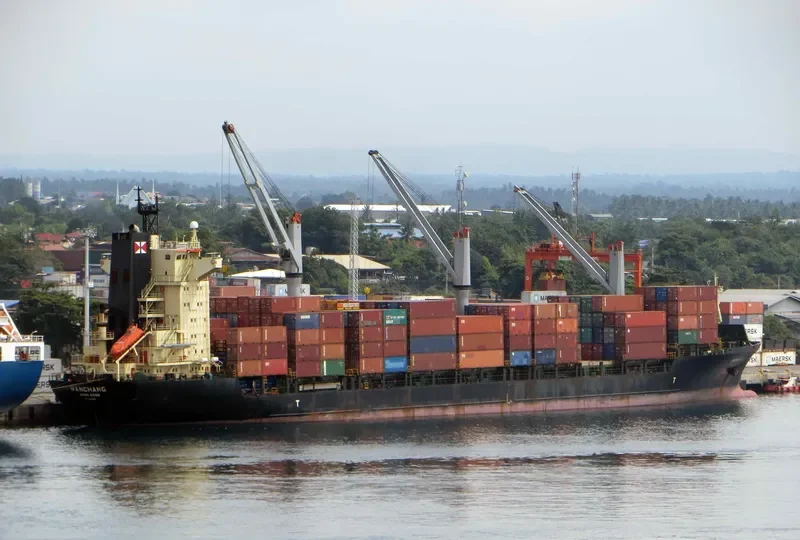 CHANG Container Ship IMO 9102514 photo 3
