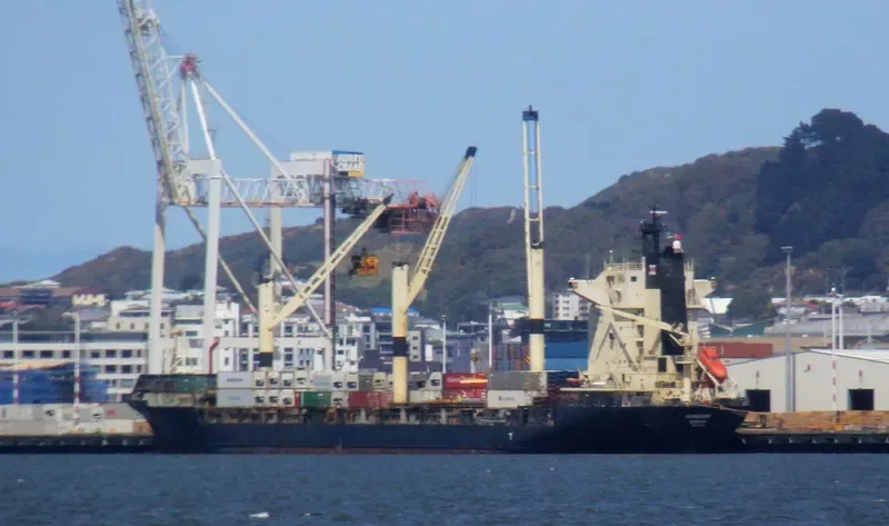 CHANG Container Ship IMO 9102514 photo 8