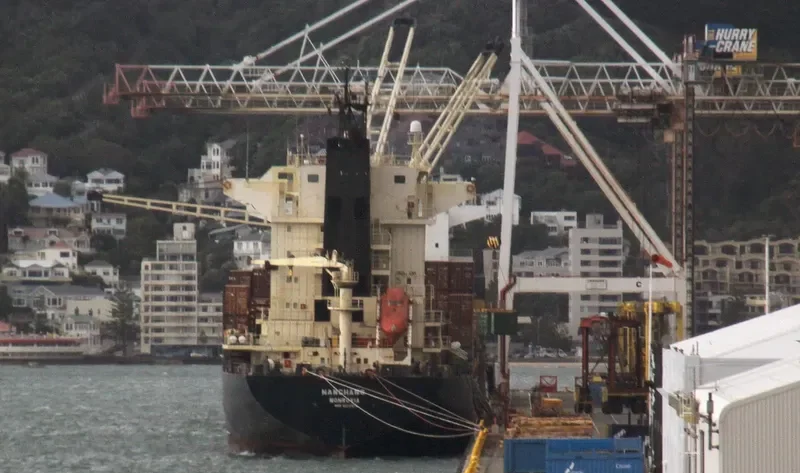 CHANG Container Ship IMO 9102514 photo 9