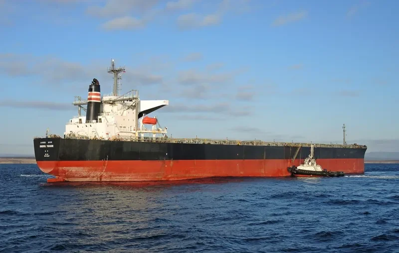 RIENTAL TREASURE Bulk Carrier IMO 9102617
