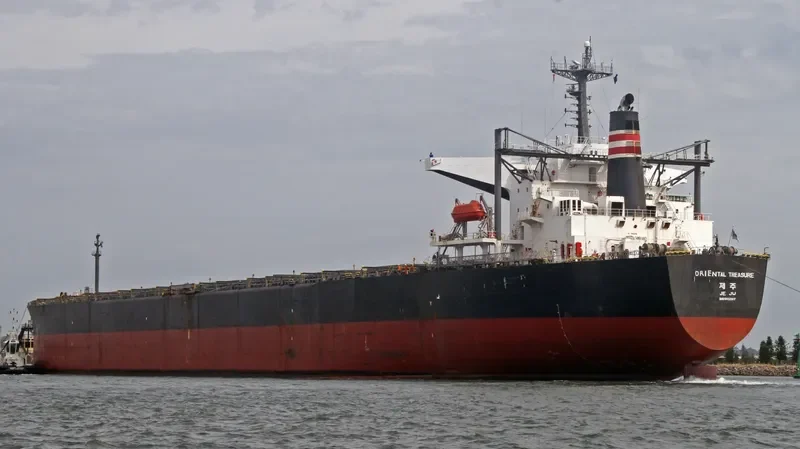 RIENTAL TREASURE Bulk Carrier IMO 9102617 photo 6
