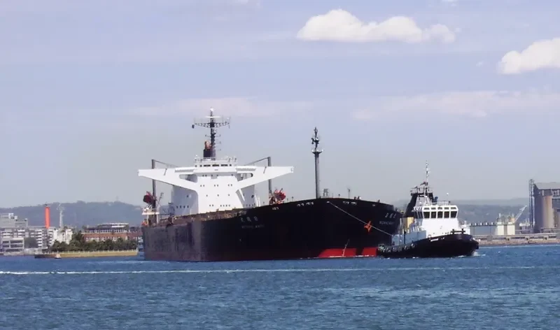RIENTAL TREASURE Bulk Carrier IMO 9102617 photo 8
