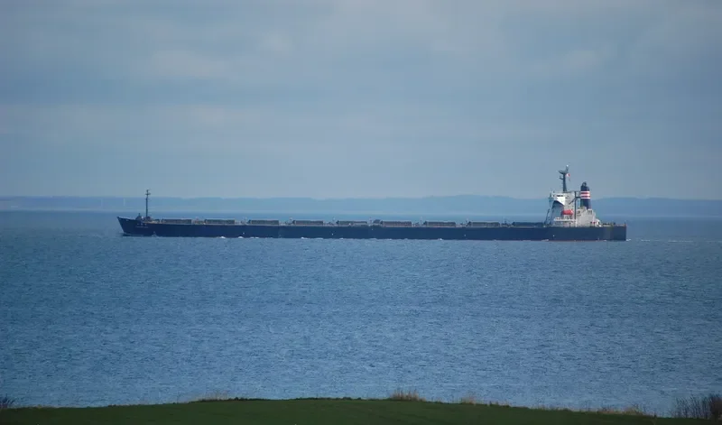 RIENTAL TREASURE Bulk Carrier IMO 9102617 photo 10