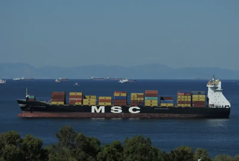 MSC MEDITERRANEAN Container Ship IMO 9102710 photo 4