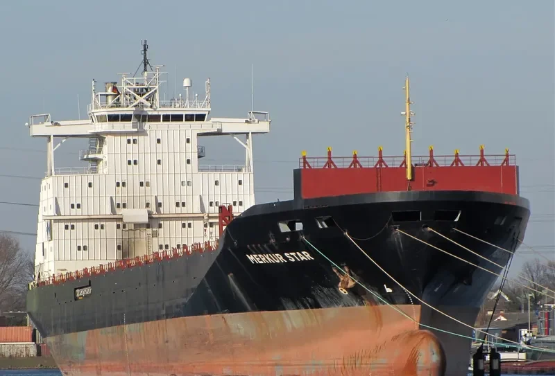 HONG YUAN 01 Container Ship IMO 9102734