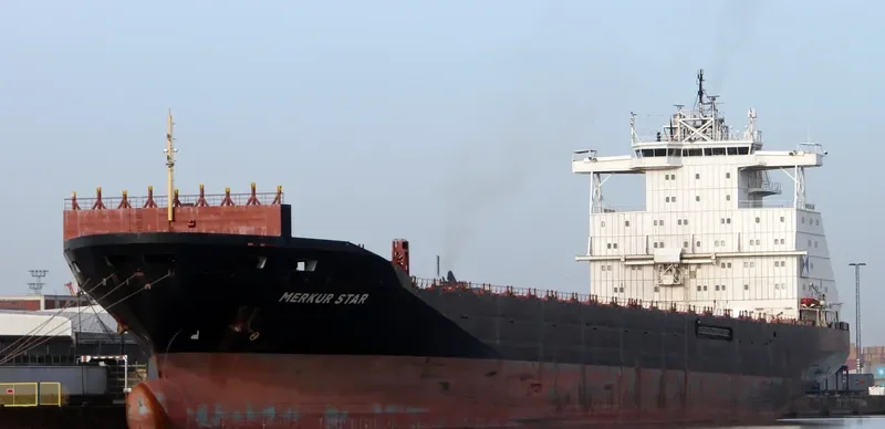 HONG YUAN 01 Container Ship IMO 9102734 photo 2