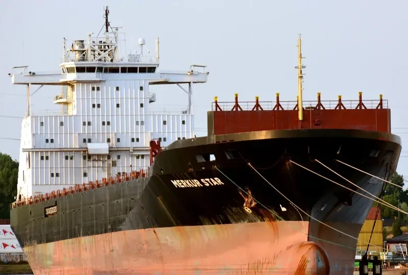 HONG YUAN 01 Container Ship IMO 9102734 photo 3