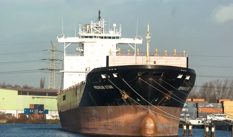 HONG YUAN 01 Container Ship IMO 9102734 photo 5