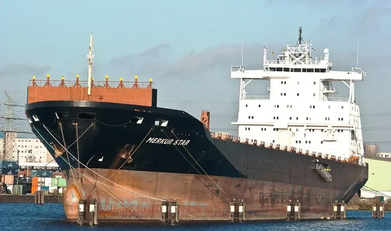 HONG YUAN 01 Container Ship IMO 9102734 photo 7