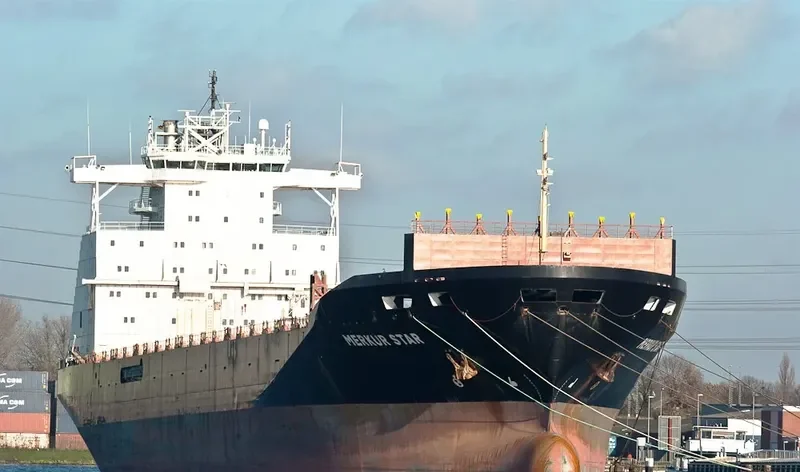 HONG YUAN 01 Container Ship IMO 9102734 photo 8