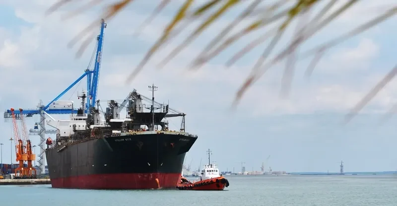 STELLAR KITE General Cargo IMO 9102796 photo 4