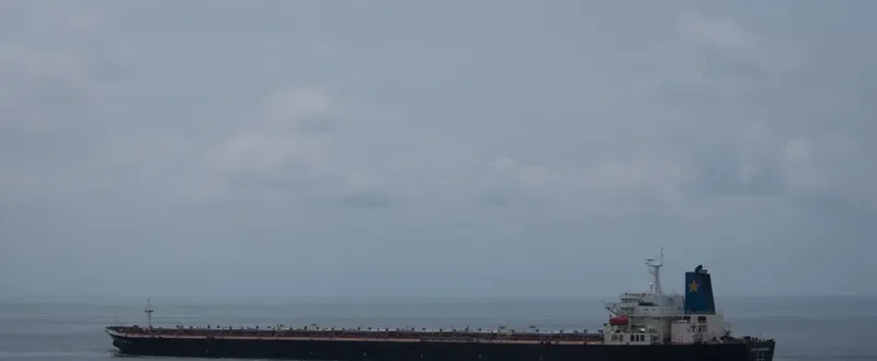 MATRIX Bulk Carrier IMO 9102942