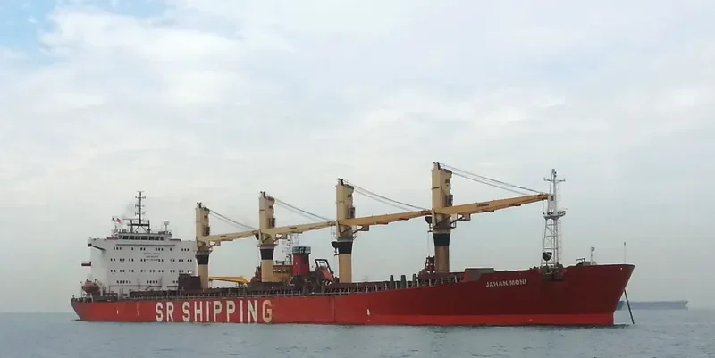 JAHAN MONI Bulk Carrier IMO 9102954 photo 2