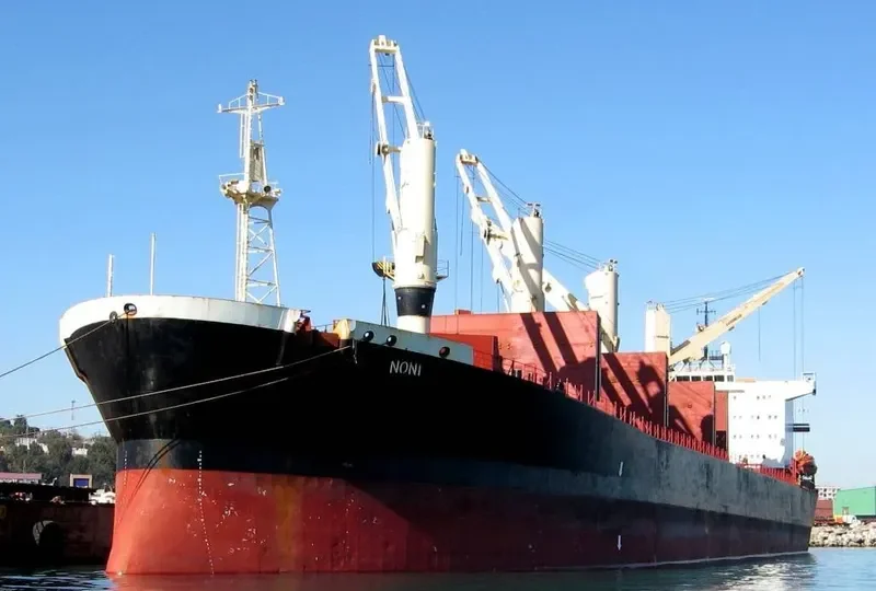 JAHAN MONI Bulk Carrier IMO 9102954 photo 3