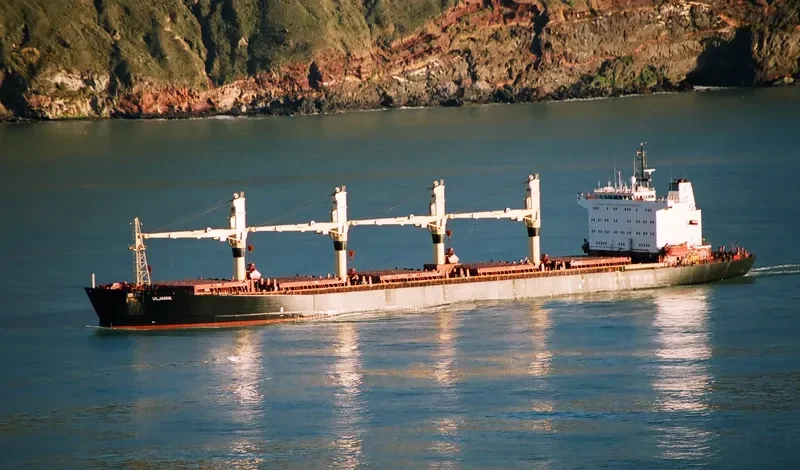 JAHAN MONI Bulk Carrier IMO 9102954 photo 4