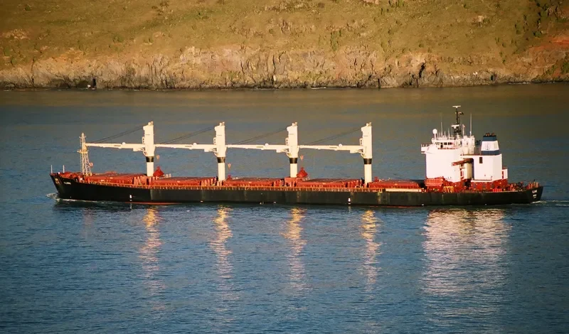 JAHAN MONI Bulk Carrier IMO 9102954 photo 5