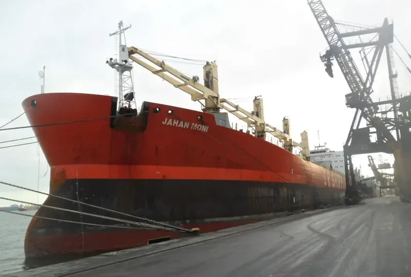 JAHAN MONI Bulk Carrier IMO 9102954 photo 6