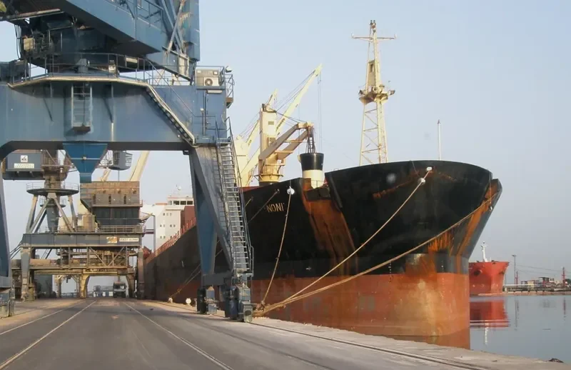 JAHAN MONI Bulk Carrier IMO 9102954 photo 7