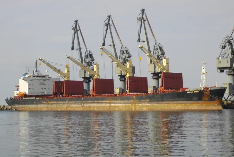 JAHAN MONI Bulk Carrier IMO 9102954 photo 8