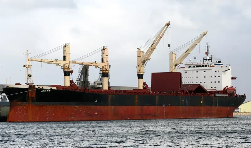 JAHAN MONI Bulk Carrier IMO 9102954 photo 9
