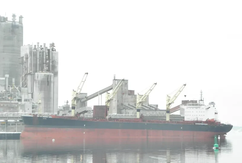 JAHAN MONI Bulk Carrier IMO 9102954 photo 10
