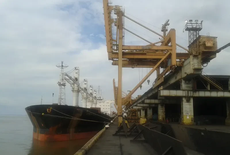S NIKOLA Bulk Carrier IMO 9102966 photo 6