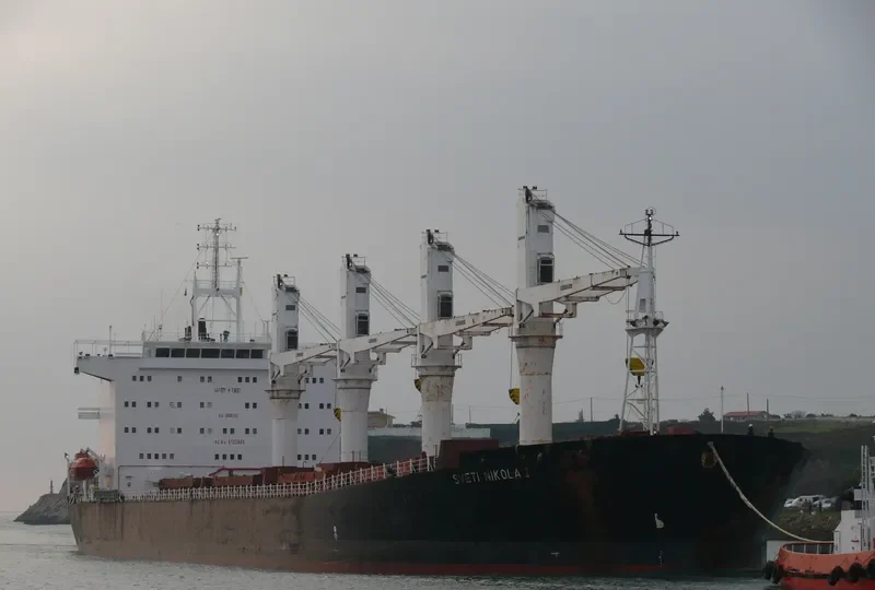 S NIKOLA Bulk Carrier IMO 9102966 photo 7